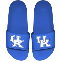Men's ISlide Royal Kentucky Wildcats Primary Motto Slide Sandals