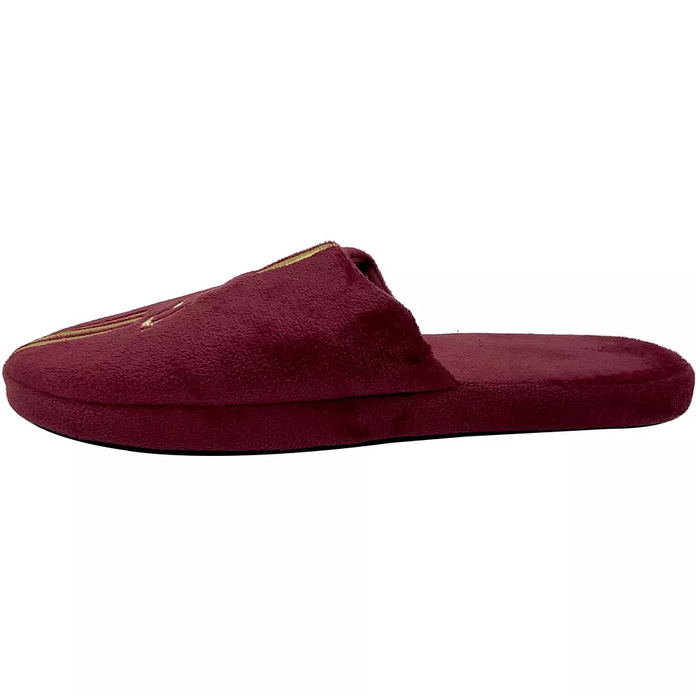 Men's FOCO Florida State Seminoles Striped Team Slippers 5 Men's FOCO Florida State Seminoles Striped Team Slippers - Image 3