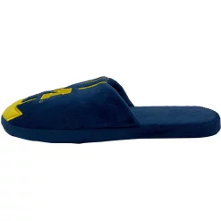 Men's FOCO Michigan Wolverines Striped Team Slippers -STANCE shop 5411541 ALT2