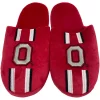Men's FOCO Ohio State Buckeyes Striped Team Slippers 2 Men's FOCO Ohio State Buckeyes Striped Team Slippers -STANCE shop 5412459