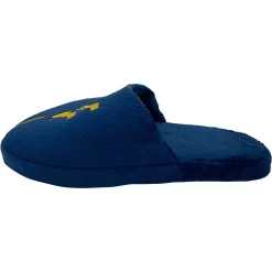 Men's FOCO West Virginia Mountaineers Striped Team Slippers 7 Men's FOCO West Virginia Mountaineers Striped Team Slippers -STANCE shop 5417247 ALT2